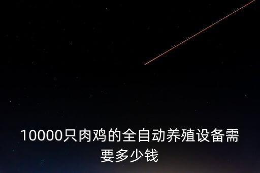 10000只肉雞的全自動養(yǎng)殖設(shè)備需要多少錢