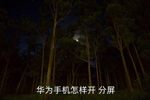 華為如何分屏,華為平板如何分屏一半一半