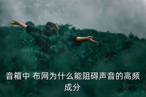 音箱中 布網(wǎng)為什么能阻礙聲音的高頻成分