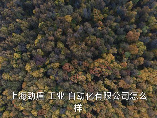閔行區(qū)工業(yè)自動(dòng)化設(shè)備維修
