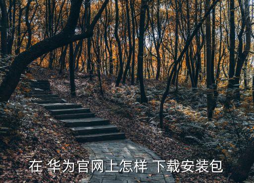 在 華為官網(wǎng)上怎樣 下載安裝包