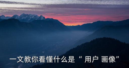 用戶畫像數(shù)據(jù)分析