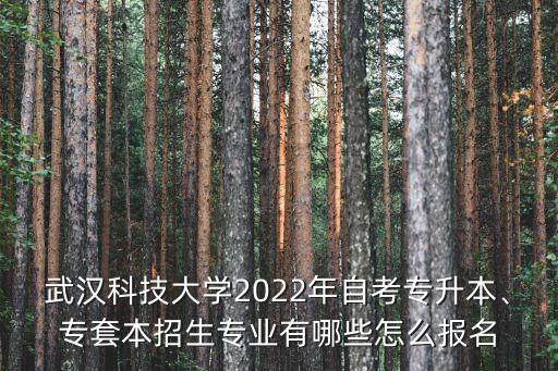 武漢科技大學(xué)2022年自考專升本、專套本招生專業(yè)有哪些怎么報(bào)名
