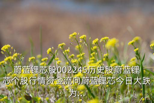 蔚藍(lán)鋰芯股002245歷史股蔚藍(lán)鋰芯個(gè)股行情資金流向蔚藍(lán)鋰芯今日大跌為...
