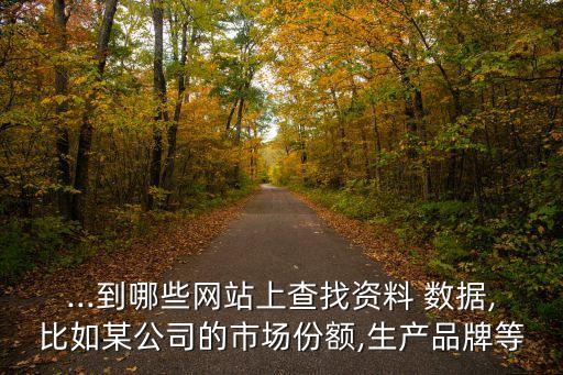 ...到哪些網(wǎng)站上查找資料 數(shù)據(jù),比如某公司的市場份額,生產(chǎn)品牌等