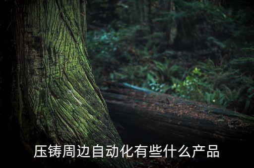 湖北不銹鋼自動化設(shè)備,壓鑄周邊自動化設(shè)備