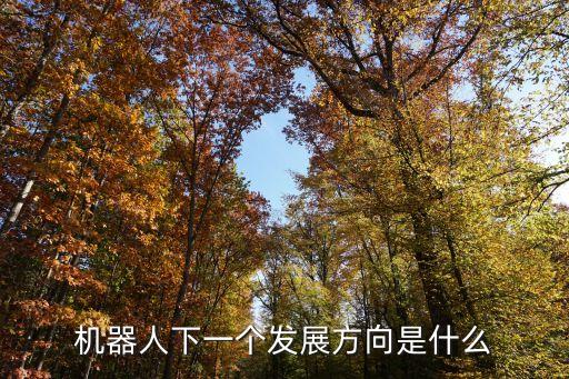 機(jī)器人下一個(gè)發(fā)展方向是什么