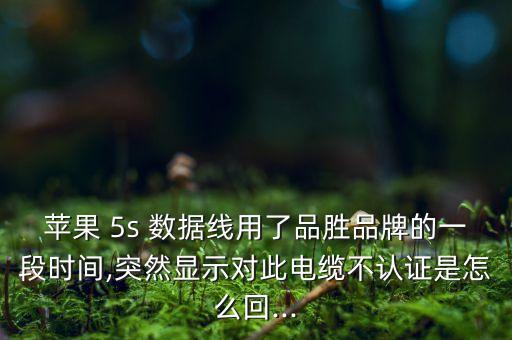 蘋果 5s 數(shù)據(jù)線用了品勝品牌的一段時間,突然顯示對此電纜不認證是怎么回...