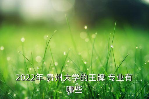 2022年 貴州大學(xué)的王牌 專業(yè)有哪些