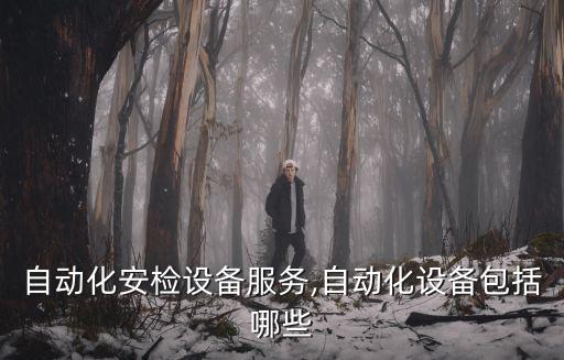 山西自動(dòng)化安檢設(shè)備服務(wù),自動(dòng)化設(shè)備包括哪些?