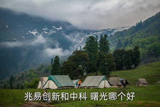 兆易創(chuàng)新和中科 曙光哪個好
