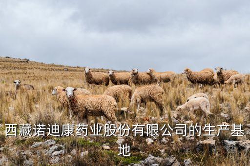 西藏諾迪康藥業(yè)股份有限公司的生產(chǎn)基地