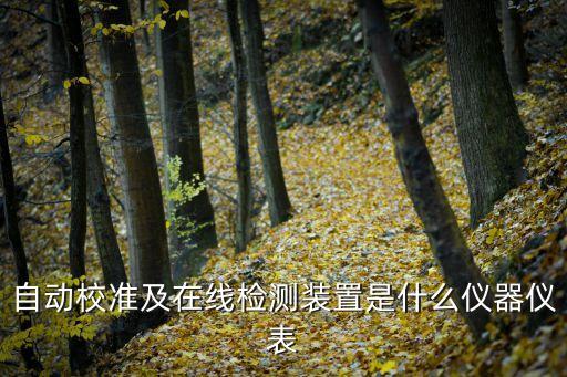 自動(dòng)校準(zhǔn)及在線檢測(cè)裝置是什么儀器儀表