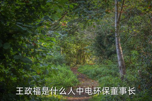 中電科自動化有限公司,上海中電智能自動化有限公司