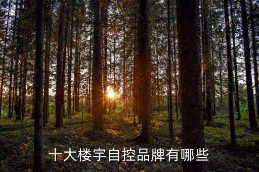 十大樓宇自控品牌有哪些