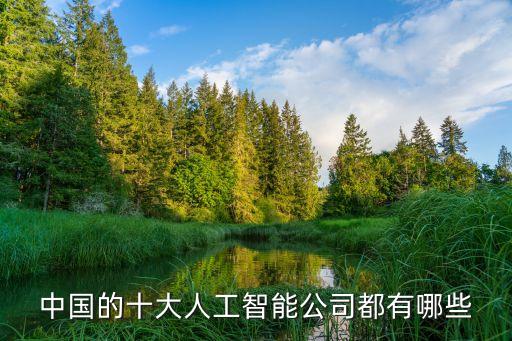 中國的十大人工智能公司都有哪些