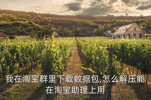 我在淘寶群里下載數(shù)據(jù)包,怎么解壓能在淘寶助理上用