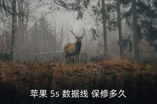 5s數(shù)據(jù)線 保修,紅魔5s數(shù)據(jù)線用幾a的
