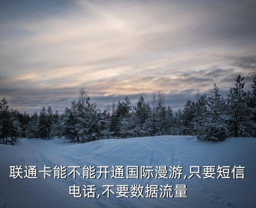 聯(lián)通卡能不能開通國際漫游,只要短信電話,不要數(shù)據(jù)流量
