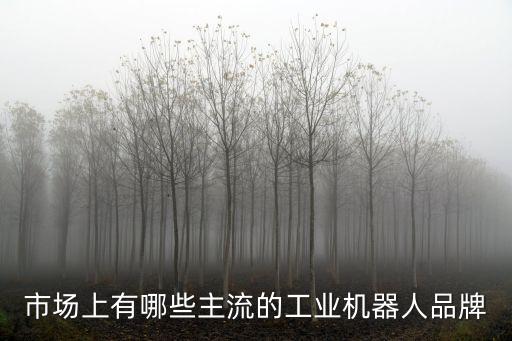 市場上有哪些主流的工業(yè)機(jī)器人品牌