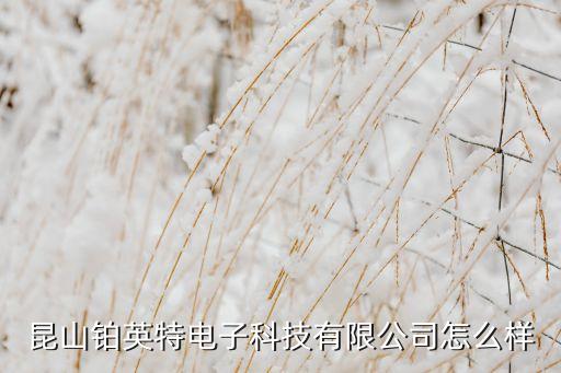 麗水非標(biāo)自動(dòng)化公司,怎么樣速特自動(dòng)化有限公司很好
