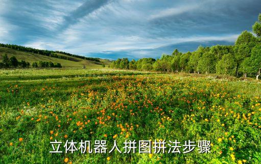 裝甲機(jī)器人怎么拼,迷你五合體機(jī)器人怎么拼拼裝指南