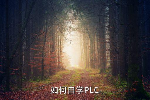 如何自學(xué)PLC
