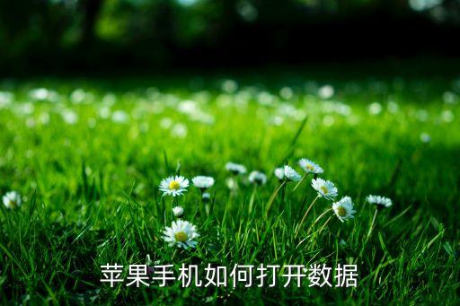 怎么找到蜂窩移動(dòng)數(shù)據(jù)嗎,蘋果手機(jī)怎么打開移動(dòng)數(shù)據(jù)呢?