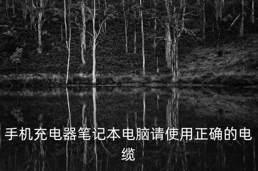 手機(jī)充電器筆記本電腦請(qǐng)使用正確的電纜