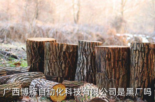 廣西博輝自動(dòng)化科技有限公司是黑廠嗎