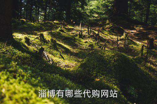 淄博有哪些代購網站