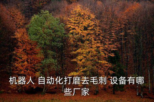 機(jī)器人 自動(dòng)化打磨去毛刺 設(shè)備有哪些廠家