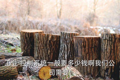 工業(yè) 控制系統(tǒng)一般要多少錢啊我們公司需要!