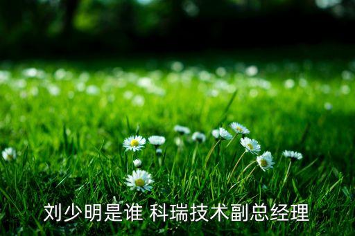 劉少明是誰 科瑞技術(shù)副總經(jīng)理