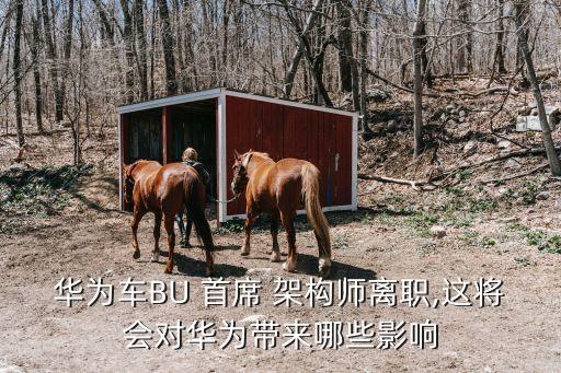 華為車BU 首席 架構(gòu)師離職,這將會對華為帶來哪些影響