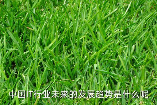 中國(guó)IT行業(yè)未來(lái)的發(fā)展趨勢(shì)是什么呢
