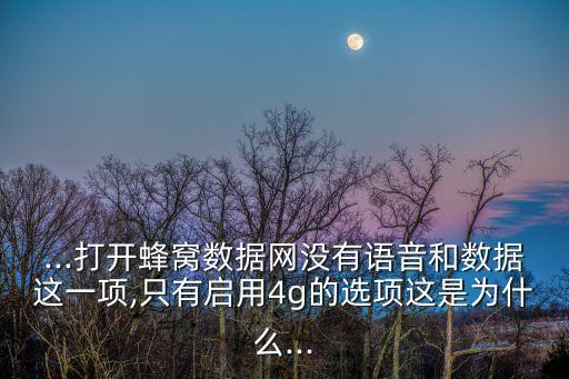 ...打開蜂窩數(shù)據(jù)網(wǎng)沒有語音和數(shù)據(jù)這一項,只有啟用4g的選項這是為什么...