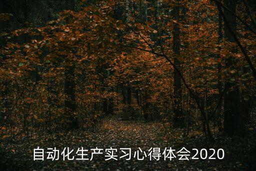 自動(dòng)化生產(chǎn)實(shí)習(xí)心得體會(huì)2020
