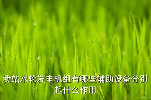 我站水輪發(fā)電機組有哪些輔助設(shè)備分別起什么作用