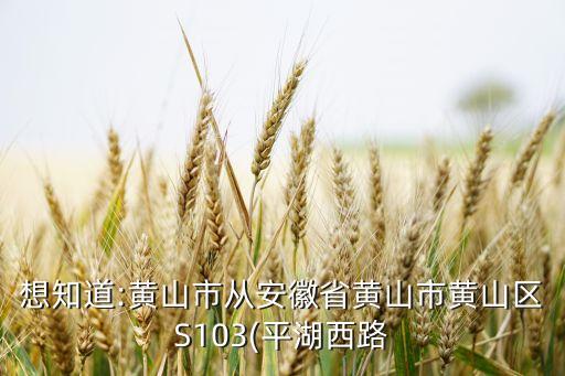 想知道:黃山市從安徽省黃山市黃山區(qū)S103(平湖西路