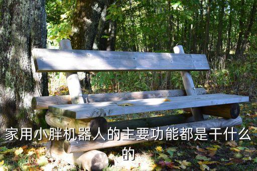 智能型機(jī)器人拍照,智能機(jī)器人有何種類?