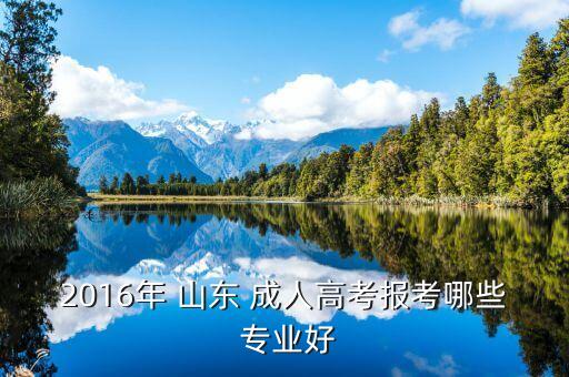 2016年 山東 成人高考報(bào)考哪些 專業(yè)好