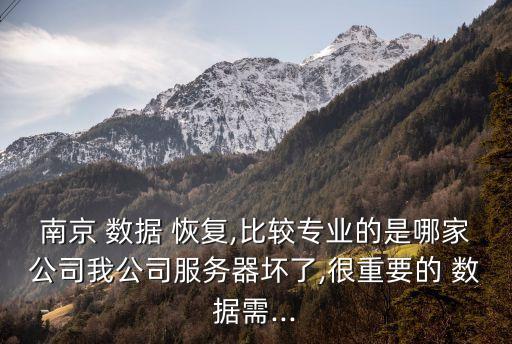 南京 數(shù)據(jù) 恢復,比較專業(yè)的是哪家公司我公司服務(wù)器壞了,很重要的 數(shù)據(jù)需...