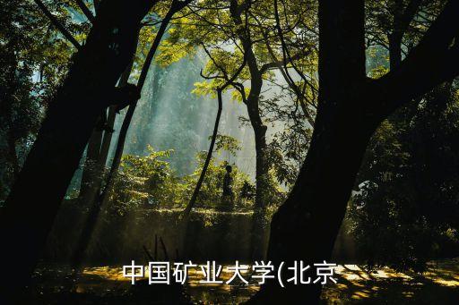 礦大自動(dòng)化專業(yè)咋樣,中國礦業(yè)大學(xué)電氣自動(dòng)化的就業(yè)怎么樣?