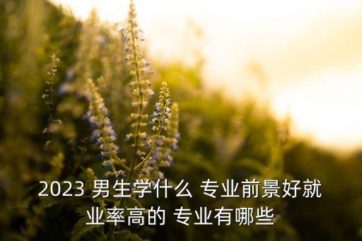 電氣自動(dòng)化類專業(yè)男生好嗎,男生學(xué)電氣自動(dòng)化專業(yè)好嗎