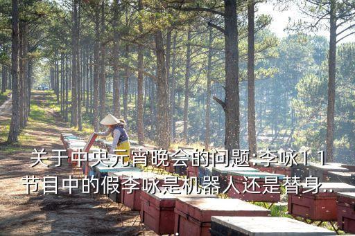 關(guān)于中央元宵晚會的問題:李詠1 1節(jié)目中的假李詠是機(jī)器人還是替身...