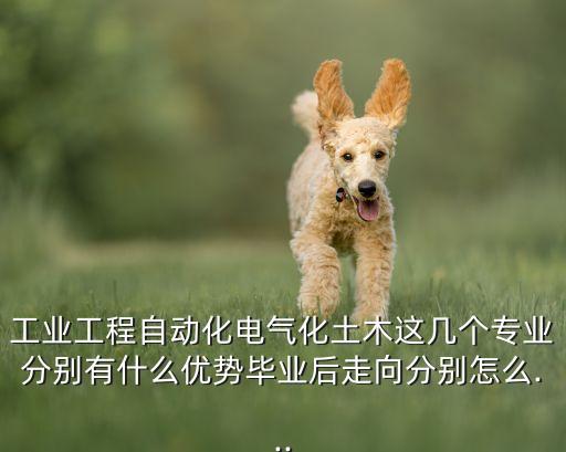 工業(yè)工程自動化電氣化土木這幾個專業(yè)分別有什么優(yōu)勢畢業(yè)后走向分別怎么...
