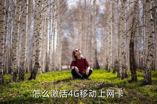 4g數(shù)據(jù)網(wǎng)卡,4g上網(wǎng)卡怎么辦?