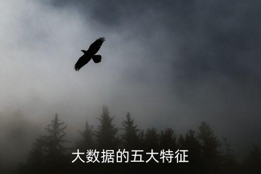 數(shù)據(jù)量 數(shù)據(jù)價(jià)值,大數(shù)據(jù)五大特征:數(shù)據(jù)分析量大、結(jié)構(gòu)復(fù)雜