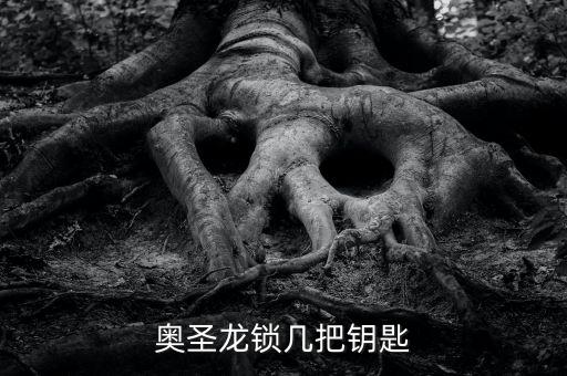 奧圣龍鎖幾把鑰匙